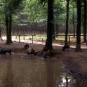 1988 Het Aardhuis, vakantie Uddel<br>1988 Het Aardhuis, vakantie Uddel