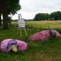 Koud als een kaalgeschoren schaap