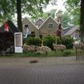 Schapen op Drift naar de Bosrand