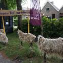 Schapen op Drift naar de Bosrand