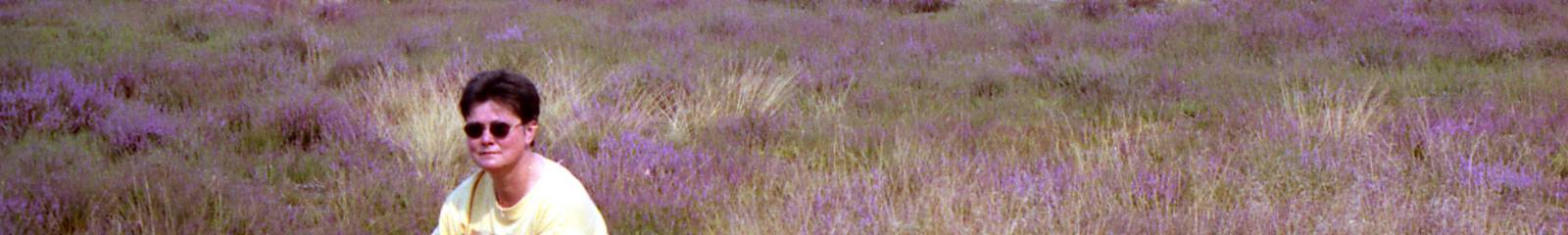 Coldenhove 1998