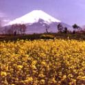 Mount Fuji, Japan