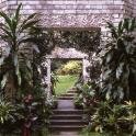Bothanical Gardens, Singapore