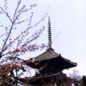 Sankei-en Garden, Yokohama