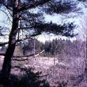 Mantyluoto, Finland