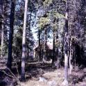 Domsjo, Zweden