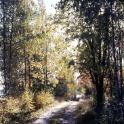 Domsjo, Zweden