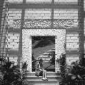 Bothanical Gardens, Singapore